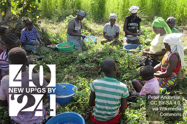 Photo by Peter Andresile CC BY-SA 4.0 via Wikipedia Commons. Women sitting on ground preparing beans