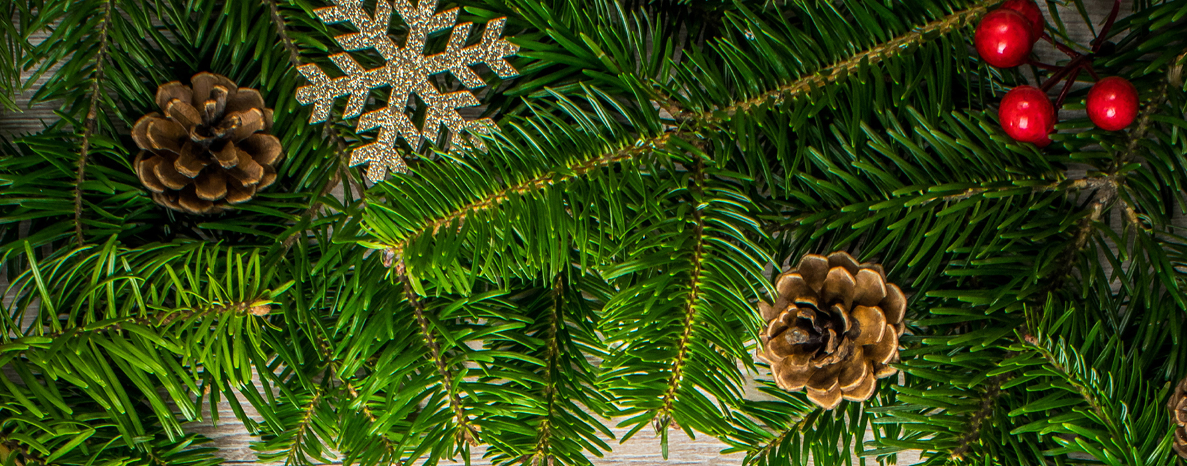 Christmas greenery and pine cones
